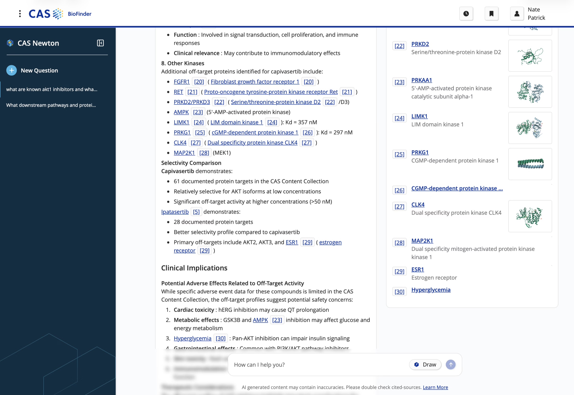 CAS Newton agentic research experience — screen 3