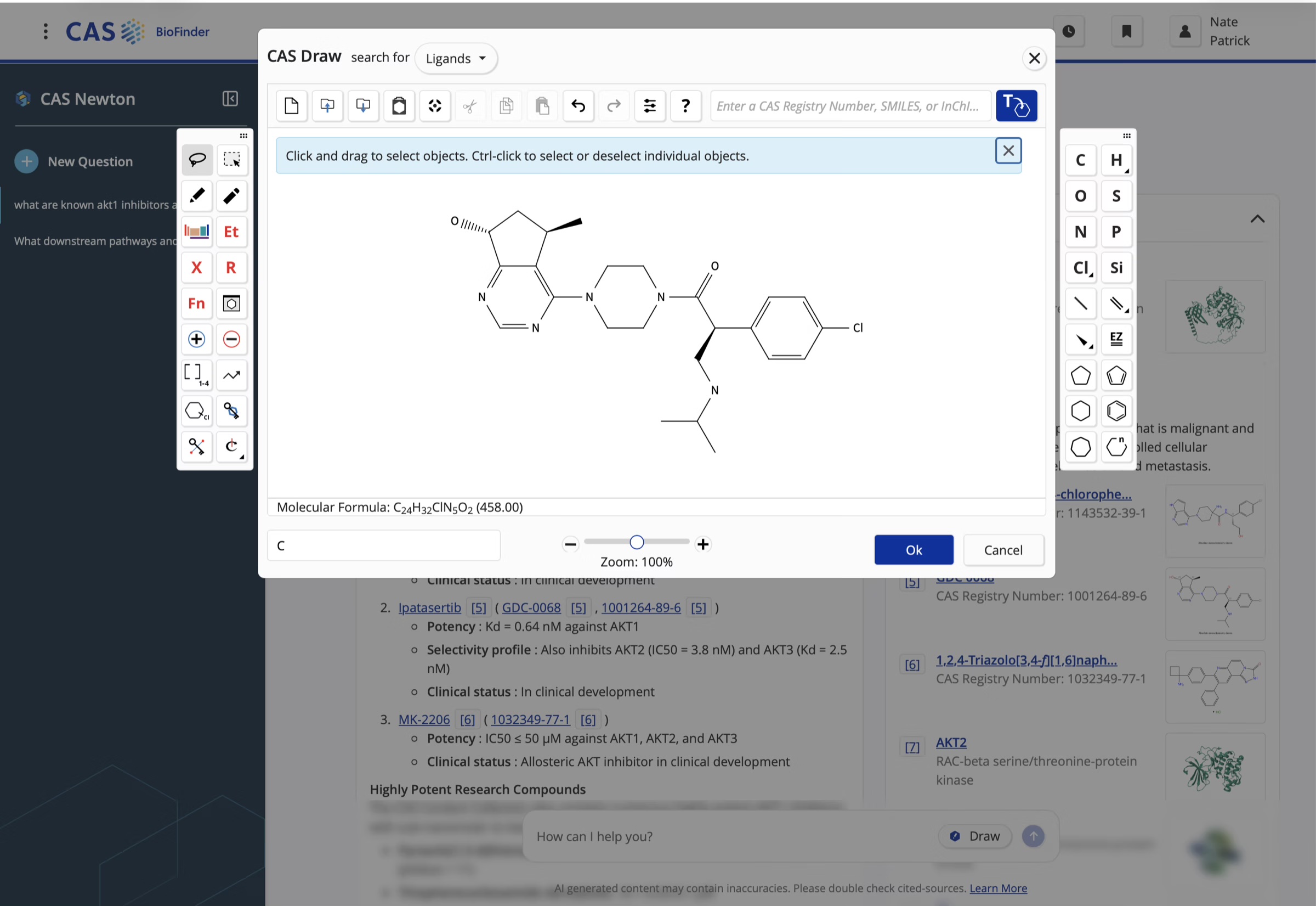 CAS Newton agentic research experience — screen 4